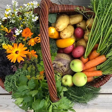 Tustna Ladestasjon Lodge *